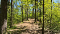 frýdlant Střelnice les (4) - Stodůlka